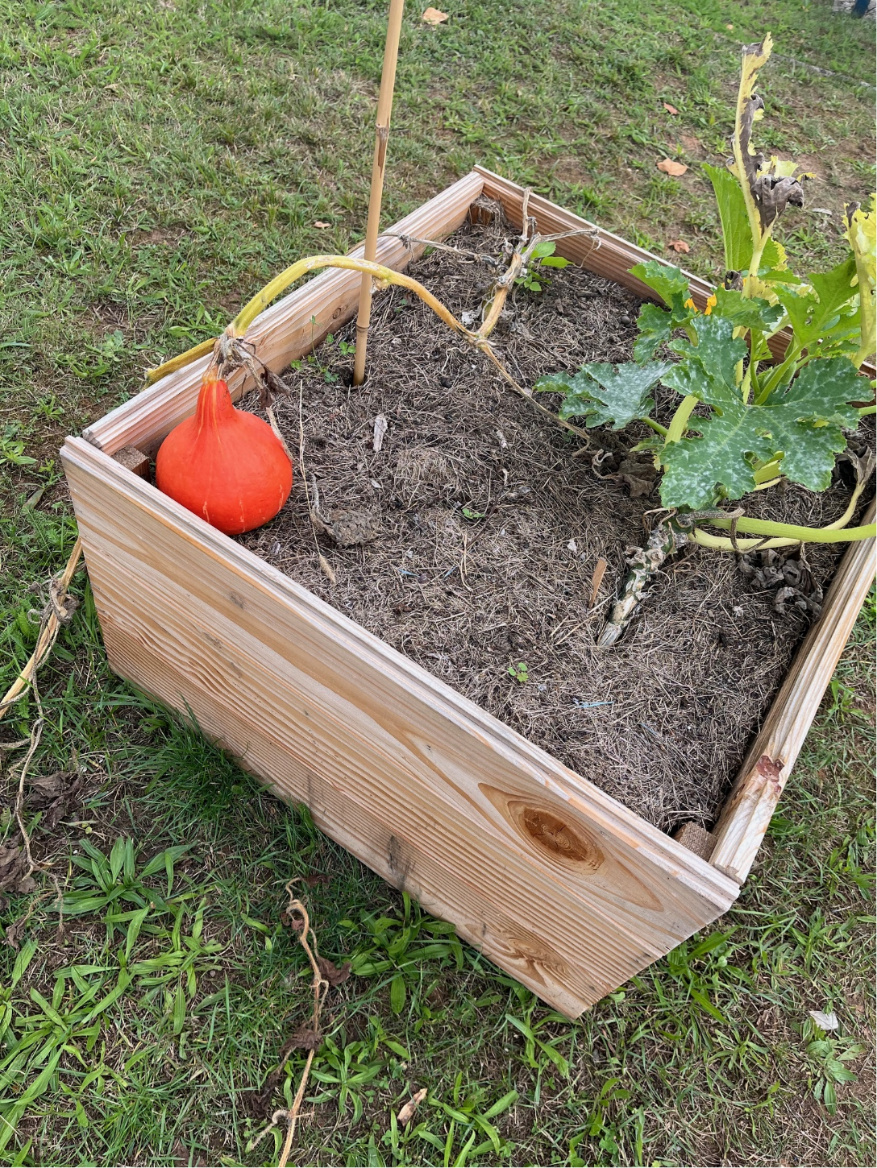 2509RPIJardin1.png